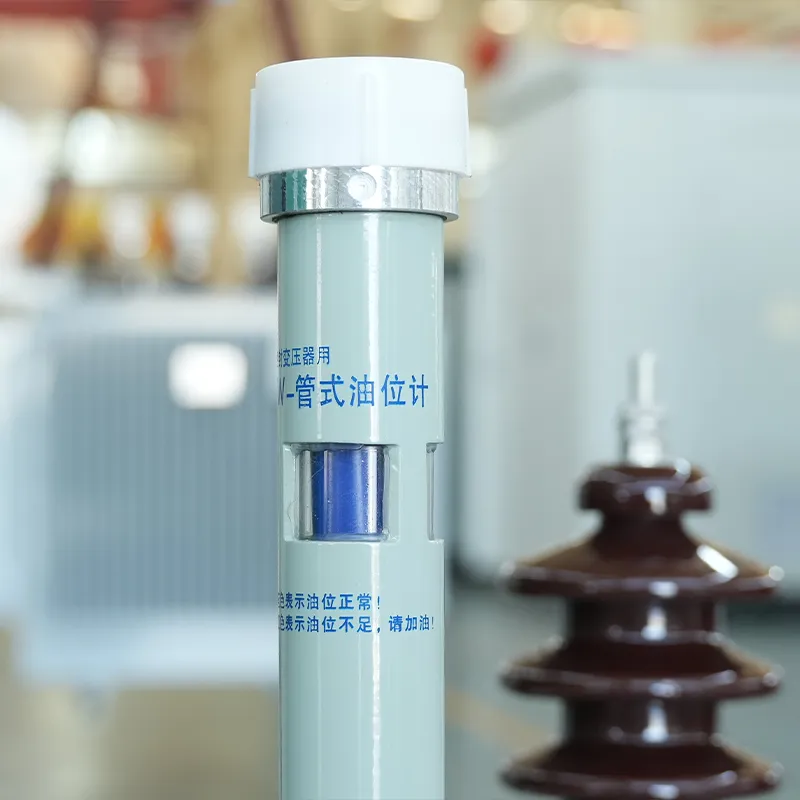 Oil Immersed Transformer